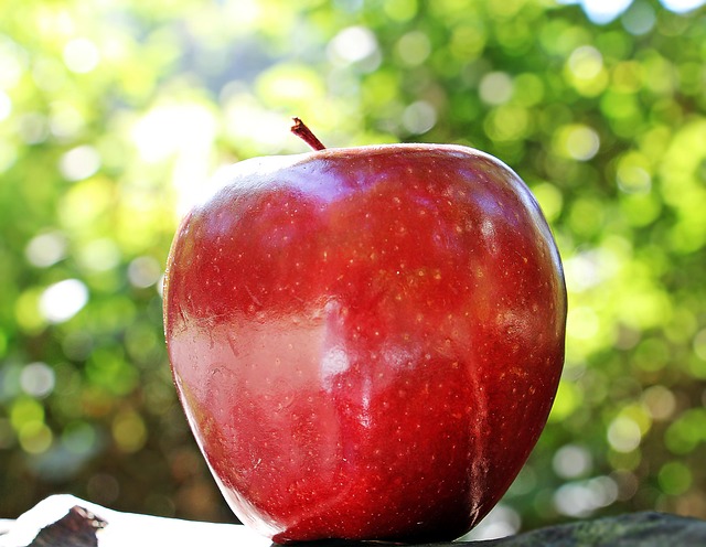 apple work from home apple work from home